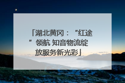 湖北黄冈：“红途”领航 知音物流绽放服务新光彩