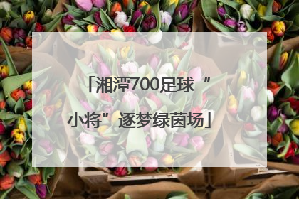 湘潭700足球“小将”逐梦绿茵场