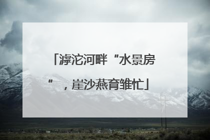 滹沱河畔“水景房”，崖沙燕育雏忙
