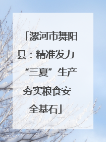漯河市舞阳县：精准发力“三夏”生产 夯实粮食安全基石