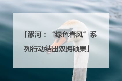 漯河：“绿色春风”系列行动结出双拥硕果