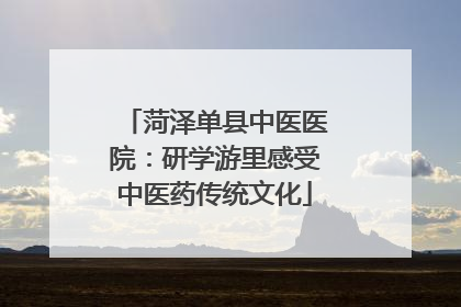 菏泽单县中医医院：研学游里感受中医药传统文化