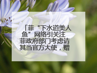 菲“下水道美人鱼”网络引关注 菲政府部门考虑请其当官方大使，赠现金开店