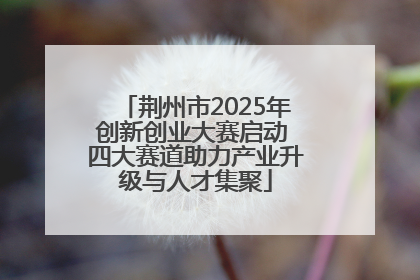 荆州市2025年创新创业大赛启动 四大赛道助力产业升级与人才集聚