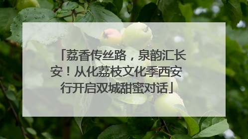 荔香传丝路，泉韵汇长安！从化荔枝文化季西安行开启双城甜蜜对话