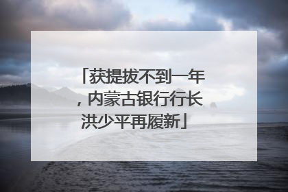获提拔不到一年，内蒙古银行行长洪少平再履新
