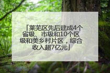 莱芜区先后建成4个省级、市级和10个区级和美乡村片区，综合收入超7亿元