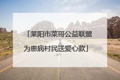 莱阳市菜哥公益联盟为患病村民送爱心款