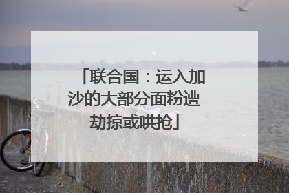 联合国：运入加沙的大部分面粉遭劫掠或哄抢