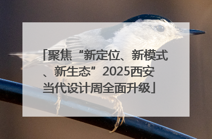 聚焦“新定位、新模式、新生态”2025西安当代设计周全面升级