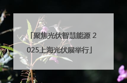 聚焦光伏智慧能源 2025上海光伏展举行