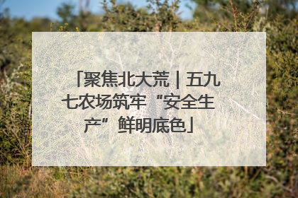 聚焦北大荒｜五九七农场筑牢“安全生产”鲜明底色