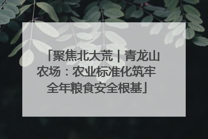 聚焦北大荒｜青龙山农场：农业标准化筑牢全年粮食安全根基
