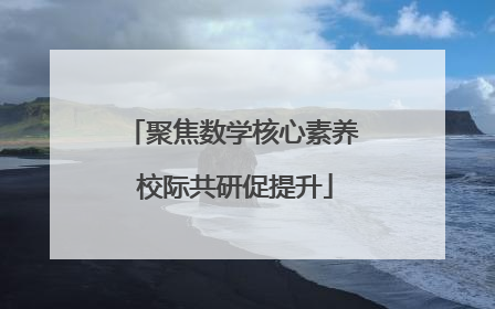 聚焦数学核心素养 校际共研促提升