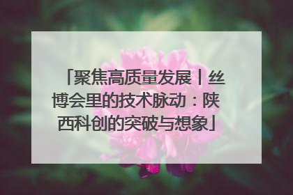 聚焦高质量发展丨丝博会里的技术脉动：陕西科创的突破与想象