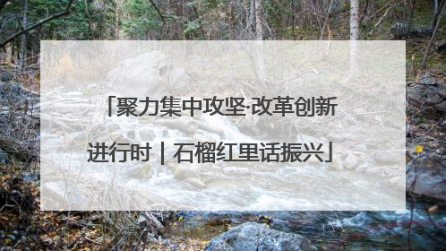 聚力集中攻坚·改革创新进行时｜石榴红里话振兴