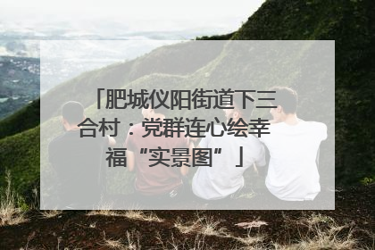 肥城仪阳街道下三合村：党群连心绘幸福“实景图”