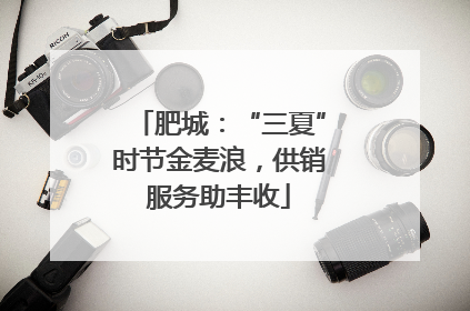 肥城：“三夏”时节金麦浪，供销服务助丰收
