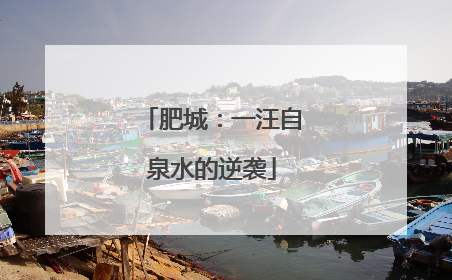 肥城：一汪自泉水的逆袭
