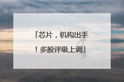 芯片，机构出手！多股评级上调