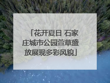 花开夏日 石家庄城市公园萱草盛放展现多彩风貌