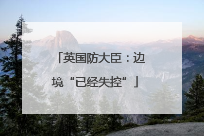 英国防大臣：边境“已经失控”