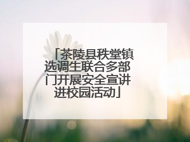 茶陵县秩堂镇选调生联合多部门开展安全宣讲进校园活动