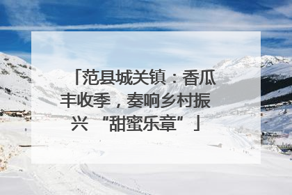 范县城关镇：香瓜丰收季，奏响乡村振兴 “甜蜜乐章”