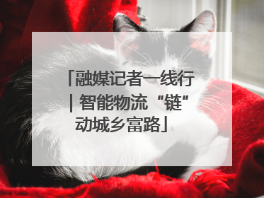 融媒记者一线行｜智能物流“链”动城乡富路