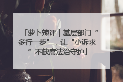 萝卜辣评｜基层部门“多行一步”，让“小诉求”不缺席法治守护