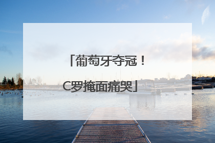 葡萄牙夺冠！C罗掩面痛哭