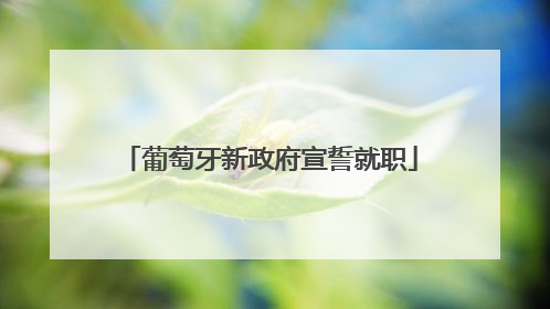 葡萄牙新政府宣誓就职