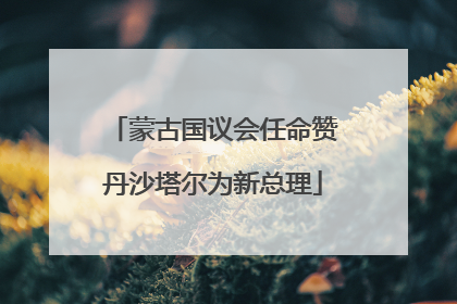 蒙古国议会任命赞丹沙塔尔为新总理