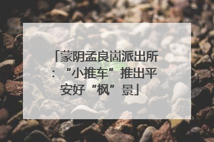 蒙阴孟良崮派出所：“小推车”推出平安好“枫”景