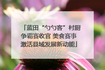 蓝田“勺勺客”村厨争霸赛收官 美食赛事激活县域发展新动能