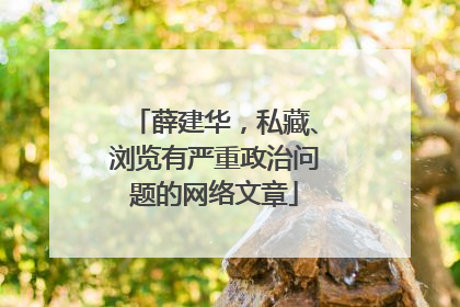 薛建华，私藏、浏览有严重政治问题的网络文章