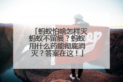 蚂蚁怕啥怎样灭蚂蚁不留痕？蚂蚁用什么药能彻底消灭？答案在这！