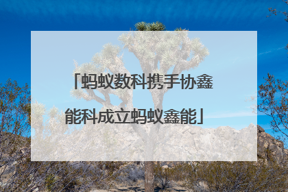 蚂蚁数科携手协鑫能科成立蚂蚁鑫能