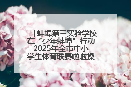 蚌埠第三实验学校在“少年蚌埠”行动2025年全市中小学生体育联赛啦啦操比赛中获佳绩