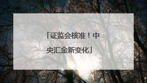 证监会核准！中央汇金新变化