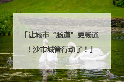 让城市“肠道”更畅通！沙市城管行动了！