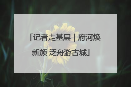 记者走基层｜府河焕新颜 泛舟游古城