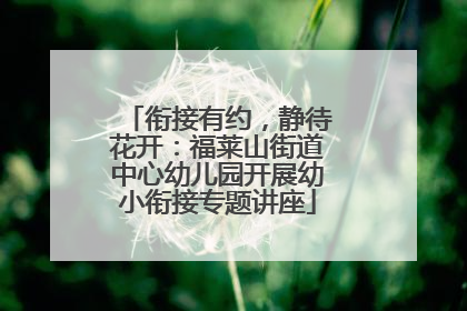 衔接有约，静待花开：福莱山街道中心幼儿园开展幼小衔接专题讲座