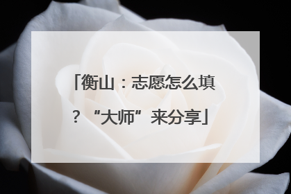衡山：志愿怎么填？“大师”来分享