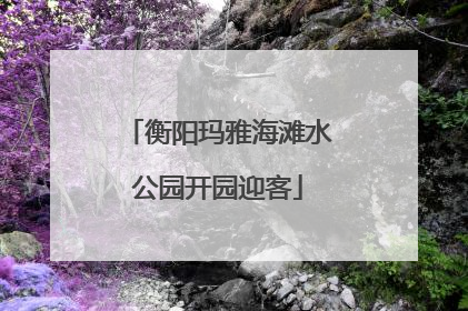 衡阳玛雅海滩水公园开园迎客