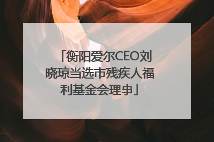 衡阳爱尔CEO刘晓琼当选市残疾人福利基金会理事