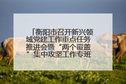 衡阳市召开新兴领域党建工作重点任务推进会暨“两个覆盖”集中攻坚工作专班 第一次会议