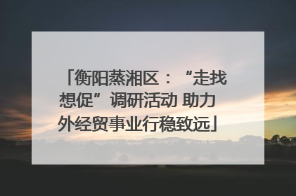 衡阳蒸湘区：“走找想促”调研活动 助力外经贸事业行稳致远