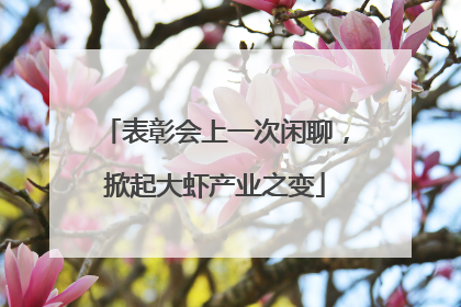 表彰会上一次闲聊，掀起大虾产业之变