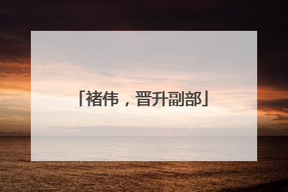 褚伟，晋升副部